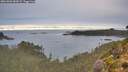 ./images/calvert/foggy-cove/20261002/foggy-cove20261002_083001M.jpg