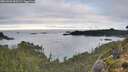 ./images/calvert/foggy-cove/20261002/foggy-cove20261002_090501M.jpg
