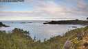 ./images/calvert/foggy-cove/20261002/foggy-cove20261002_092501M.jpg