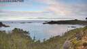 ./images/calvert/foggy-cove/20261002/foggy-cove20261002_093001M.jpg