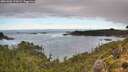 ./images/calvert/foggy-cove/20261002/foggy-cove20261002_102001M.jpg