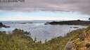 ./images/calvert/foggy-cove/20261002/foggy-cove20261002_102501M.jpg