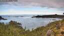 ./images/calvert/foggy-cove/20261002/foggy-cove20261002_103501M.jpg