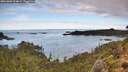 ./images/calvert/foggy-cove/20261002/foggy-cove20261002_104001M.jpg