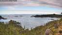 ./images/calvert/foggy-cove/20261002/foggy-cove20261002_105001M.jpg