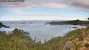 ./images/calvert/foggy-cove/20261002/foggy-cove20261002_105502M.jpg