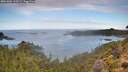 ./images/calvert/foggy-cove/20261002/foggy-cove20261002_110502M.jpg