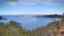 ./images/calvert/foggy-cove/20261002/foggy-cove20261002_111001M.jpg
