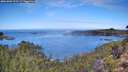 ./images/calvert/foggy-cove/20261002/foggy-cove20261002_111501M.jpg