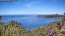 ./images/calvert/foggy-cove/20261002/foggy-cove20261002_112001M.jpg