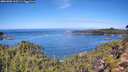 ./images/calvert/foggy-cove/20261002/foggy-cove20261002_112501M.jpg