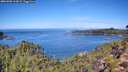 ./images/calvert/foggy-cove/20261002/foggy-cove20261002_113001M.jpg