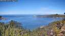 ./images/calvert/foggy-cove/20261002/foggy-cove20261002_113502M.jpg