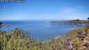 ./images/calvert/foggy-cove/20261002/foggy-cove20261002_114001M.jpg