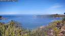 ./images/calvert/foggy-cove/20261002/foggy-cove20261002_114501M.jpg