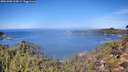 ./images/calvert/foggy-cove/20261002/foggy-cove20261002_115001M.jpg