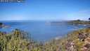 ./images/calvert/foggy-cove/20261002/foggy-cove20261002_115501M.jpg