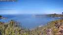 ./images/calvert/foggy-cove/20261002/foggy-cove20261002_120501M.jpg