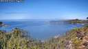 ./images/calvert/foggy-cove/20261002/foggy-cove20261002_121001M.jpg