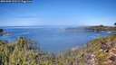 ./images/calvert/foggy-cove/20261002/foggy-cove20261002_121501M.jpg