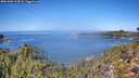 ./images/calvert/foggy-cove/20261002/foggy-cove20261002_122001M.jpg