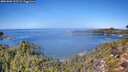 ./images/calvert/foggy-cove/20261002/foggy-cove20261002_122501M.jpg
