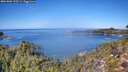 ./images/calvert/foggy-cove/20261002/foggy-cove20261002_123501M.jpg