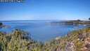 ./images/calvert/foggy-cove/20261002/foggy-cove20261002_124001M.jpg
