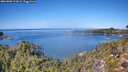 ./images/calvert/foggy-cove/20261002/foggy-cove20261002_124501M.jpg