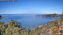./images/calvert/foggy-cove/20261002/foggy-cove20261002_125001M.jpg