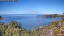 ./images/calvert/foggy-cove/20261002/foggy-cove20261002_125501M.jpg