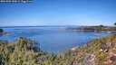 ./images/calvert/foggy-cove/20261002/foggy-cove20261002_130001M.jpg