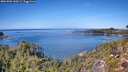 ./images/calvert/foggy-cove/20261002/foggy-cove20261002_130501M.jpg