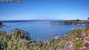 ./images/calvert/foggy-cove/20261002/foggy-cove20261002_132501M.jpg