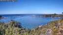 ./images/calvert/foggy-cove/20261002/foggy-cove20261002_133501M.jpg