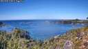 ./images/calvert/foggy-cove/20261002/foggy-cove20261002_134002M.jpg