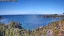 ./images/calvert/foggy-cove/20261002/foggy-cove20261002_135501M.jpg