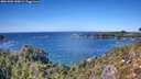 ./images/calvert/foggy-cove/20261002/foggy-cove20261002_140002M.jpg