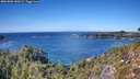 ./images/calvert/foggy-cove/20261002/foggy-cove20261002_140501M.jpg