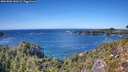 ./images/calvert/foggy-cove/20261002/foggy-cove20261002_141002M.jpg