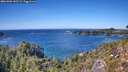 ./images/calvert/foggy-cove/20261002/foggy-cove20261002_141501M.jpg