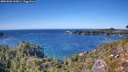 ./images/calvert/foggy-cove/20261002/foggy-cove20261002_143001M.jpg