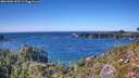 ./images/calvert/foggy-cove/20261002/foggy-cove20261002_145501M.jpg