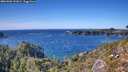 ./images/calvert/foggy-cove/20261002/foggy-cove20261002_151001M.jpg