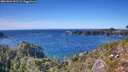 ./images/calvert/foggy-cove/20261002/foggy-cove20261002_151501M.jpg