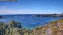 ./images/calvert/foggy-cove/20261002/foggy-cove20261002_152501M.jpg