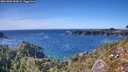./images/calvert/foggy-cove/20261002/foggy-cove20261002_153001M.jpg