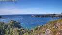 ./images/calvert/foggy-cove/20261002/foggy-cove20261002_153501M.jpg