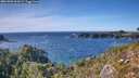 ./images/calvert/foggy-cove/20261002/foggy-cove20261002_154501M.jpg