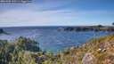 ./images/calvert/foggy-cove/20261002/foggy-cove20261002_155501M.jpg
